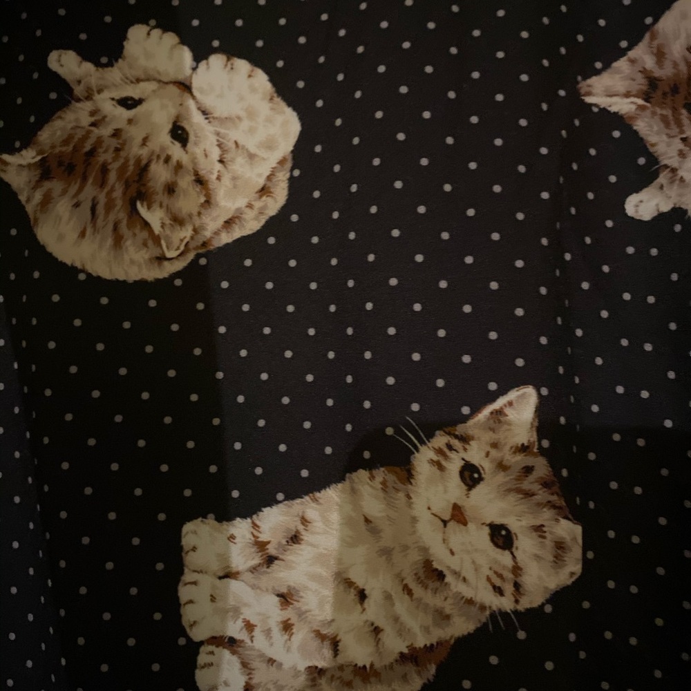 Plus size cat dress